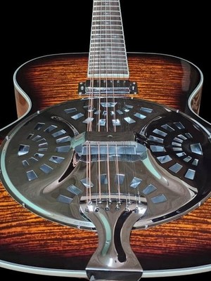 New 12 String Acoustic/Electric Resonator Guitar-Beautiful Flame Top-Full-Size