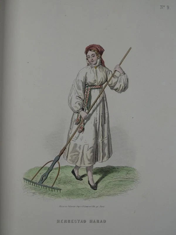 Costumes Suedois Mode Frauen Tracht Schweden Geoffroy 20 kol Stahlstiche EA 1860 - Bild 4 von 4