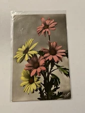 Vintage FOTOCELERE Pink & Yellow SUNFLOWERS Tinted Postcard Torino Turin, Italy