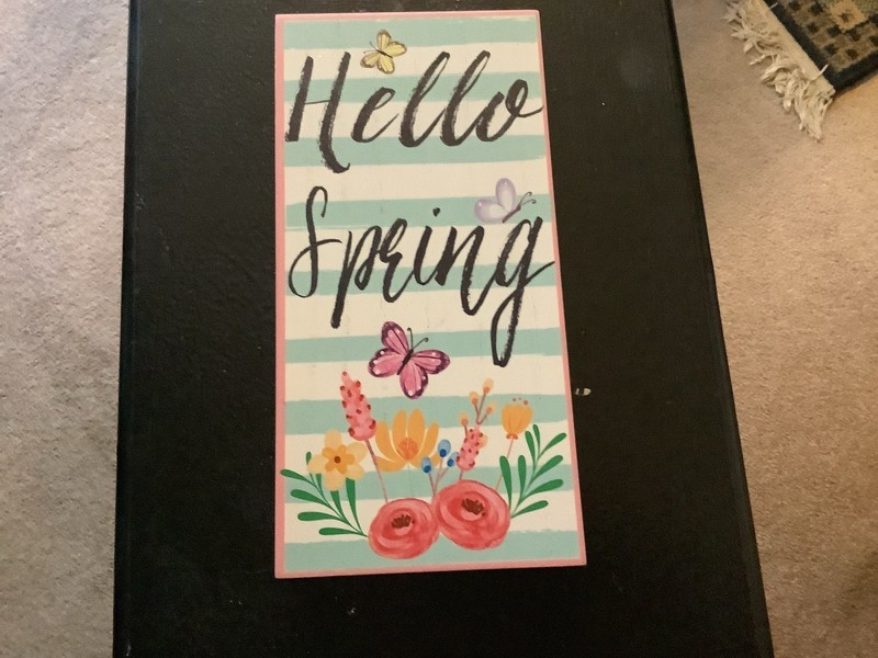 Hello Spring Wooden Plaque