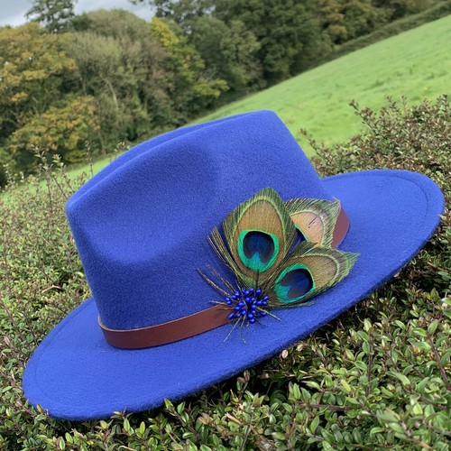 Royal blue fedora with peacock feathers 