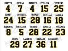 Pittsburgh Penguins DECAL STICKER All-time Enforcers, Goons, Fighters Tough Guys