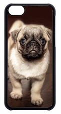 Cute Pug Puppy Dog Paws Pattern Design Hard Back Case Cover For Apple iPod 5 6 7