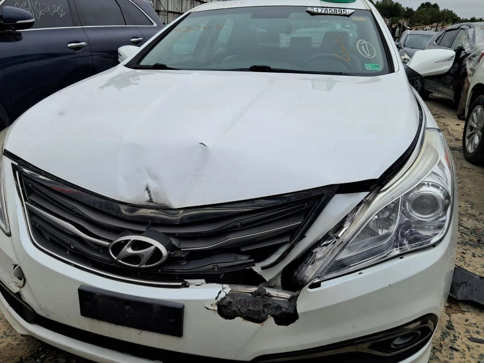 Puerta trasera del conductor eléctrica sin parasol compatible con 12-17 AZERA 2662879 Foto 4 de 4