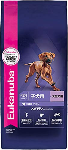 Eukanuba Puppy Large Dog Up to 24 Months 15kg Chicken 705