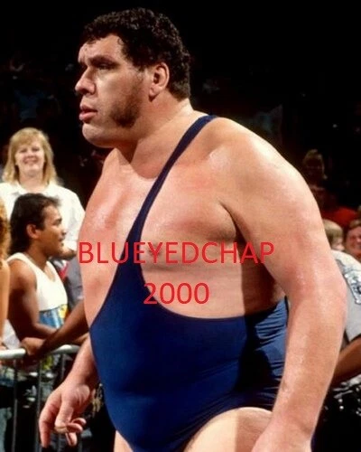 ANDRE THE GIANT WRESTLER 8 X10 WRESTLING PHOTO WWWF NWA AWA - Image 1 of 1
