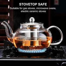 Glass Teapot 20 Oz Borosilicate Stainless Steel Inf Loose Leaf Tea Maker Camping