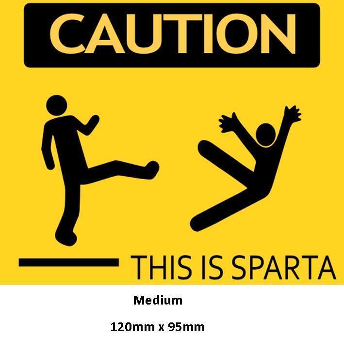 THIS IS SPARTA!!! - Picture