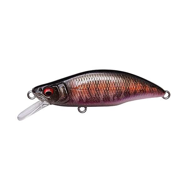 Megabus GH64 HUMPBACK (Great Hunting 64 Humper Back) () AL Autumn Hallati
