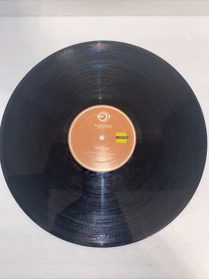 Teebee Human Reptile Metreon 12'' Vinyl Record Subtitles 004 UK 45RPM DnB