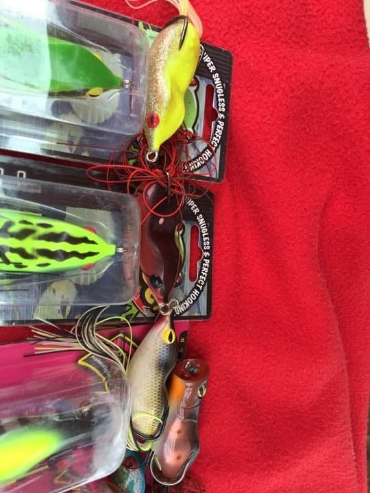 Frog eye, I owe you, Gotcha - Image 3