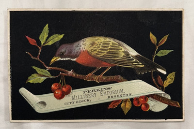 Victorian Trade Card Perkins Emporium Brockton Massachusetts Painted Bunting Wow