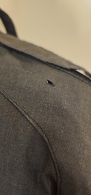 Vintage Members Only Mens Black Size 42 Iconic Racer Full Zip