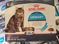 Royal Canin Feline Urinary Care Adult Wet Cat Food 3 Ounce Pack of 6