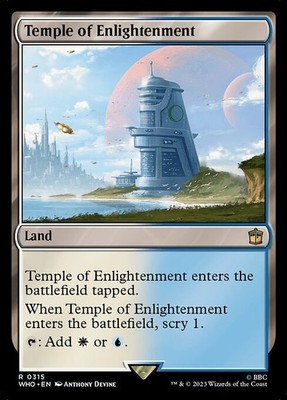 MTG Temple of Enlightenment [WHO] #315 en