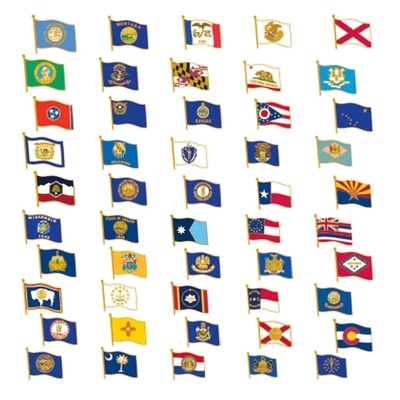 Exquisite Pack of 50 Gold Plated State Flag Enamel Lapel Pins   Perfect Gift