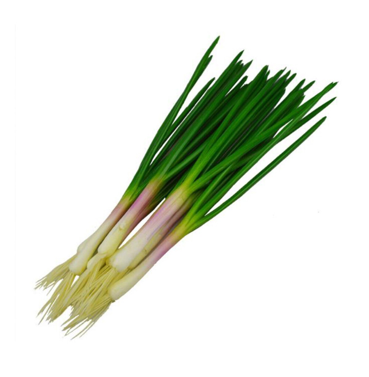 Artificial Spring Onion Bundle 10 Scallions 16 Inches Fake Vegetables Decor Prop