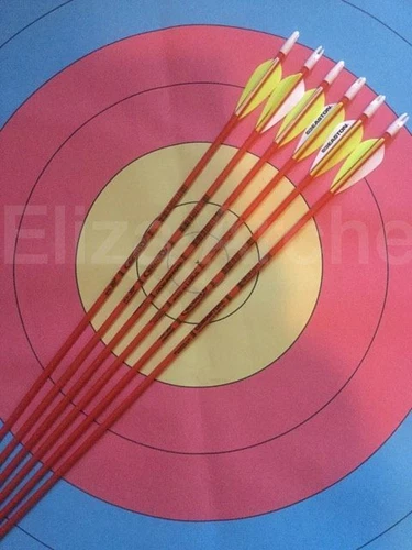 Easton Scout 2 Fiberglass Youth Arrows p/k 6