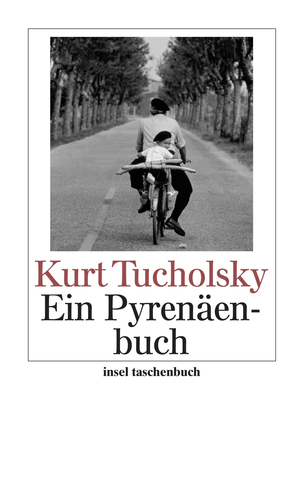 Ein Pyrenäenbuch | Kurt Tucholsky | Deutsch | Taschenbuch | 250 S. |