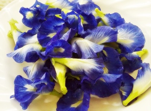 100%Pure Thai Dried Butterfly PeaTea Flower Natural Organic Herbal Healthy Drink - Picture 3 of 6