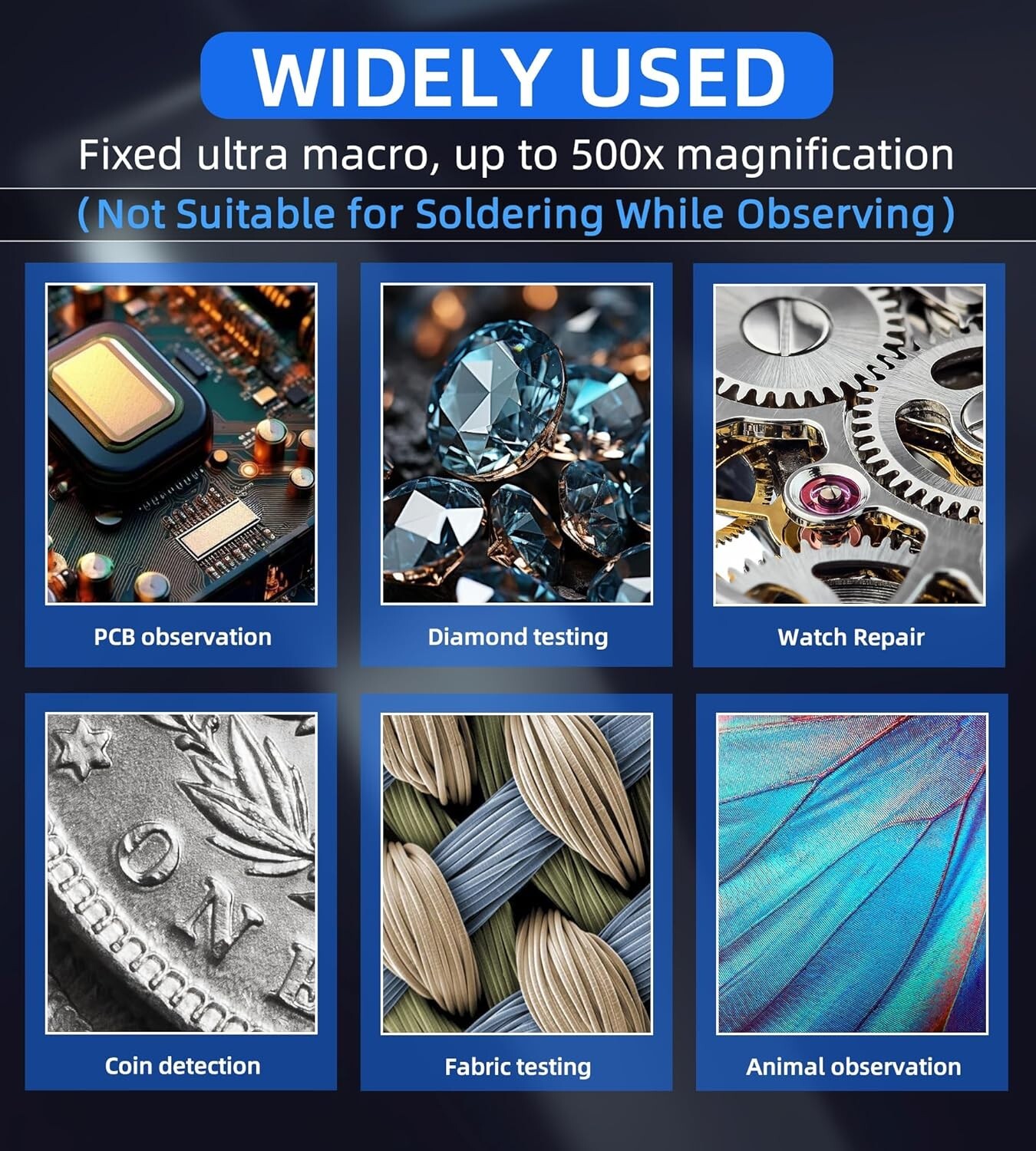 Slide 6