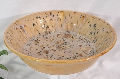 Scarlet Campbell Stoneware Pie Pan Serving Dish 10 1/4'' Diameter 2 1/2'' Tall EUC