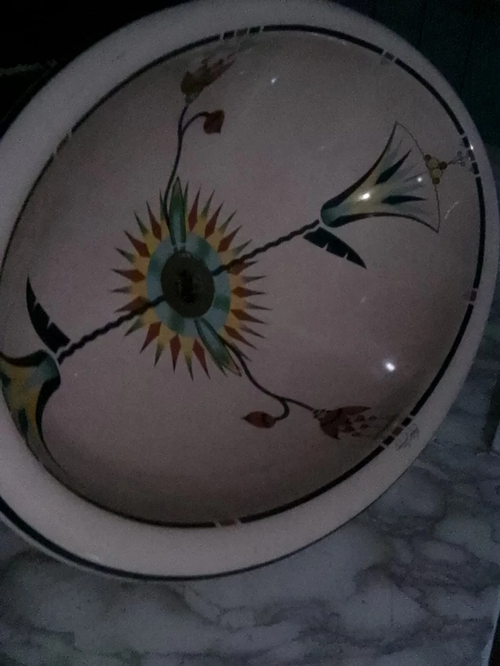 ¡¡Increíble!! Fregadero floral artístico pintado a mano serie edición artista Kohler Foto 2 de 3