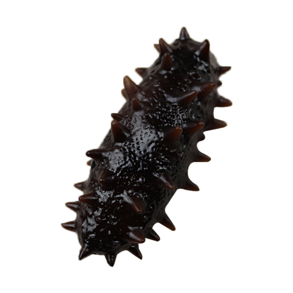 Kid Educational Sea Cucumber Ocean Fish Model Decorative Fruit Fake Sea