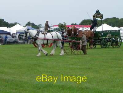 Foto 6x4 funktionierendes schweres Pferd Klasse Motcombe Das Auenland Pferd zieht eine Kunst c2011