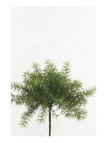 Artplants KüNstliche KräUter Asparagus Sprengeri Monet Auf Steckstab, 10Cm-image