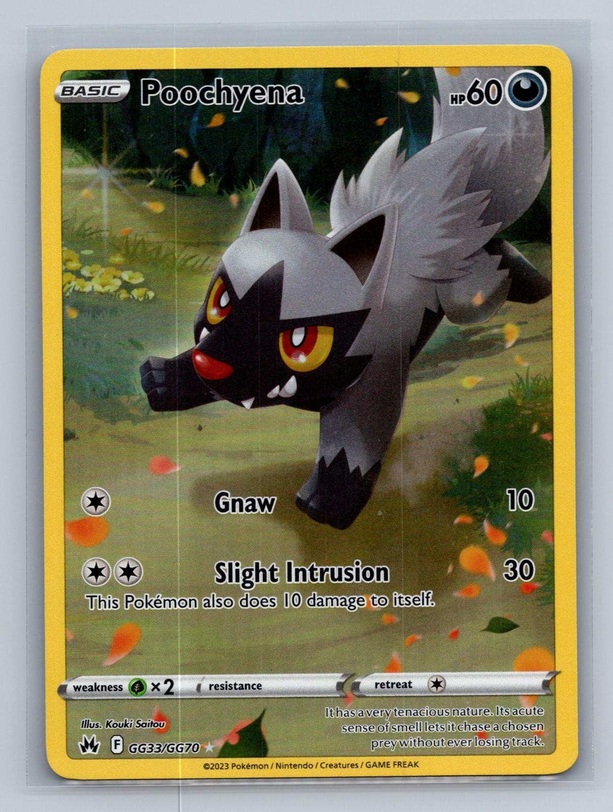 Poochyena GG33/GG70 Holo Crown Zenith Galarian Gallery Pokemon NM/M