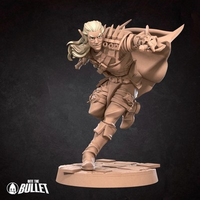 Dungeons and Dragons - Spielbare Figur - Männliche Elfe - Schurke, Kämpfer, Krieger