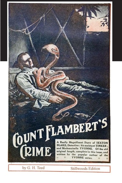 G. H. Teed | Count Flambert's Crime | Taschenbuch | Englisch (2021) | Stillwoods-image
