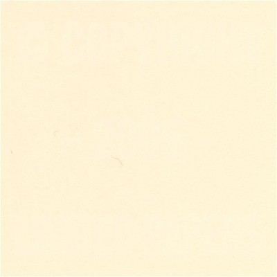 Softwhite Smooth 8-1/2-x-11 Lightweight Printer Friendly Paper 500-pk - 105 GSM 