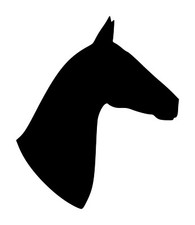Horse Head -V3- Vinyl Decal Sticker - Equestrian Farm Riding Dressage Equine