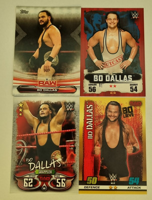 AEW NXT WWE Wrestling Performer Superstar 4 Card Lot - Bo Dallas