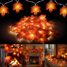 Thanksgiving Maple Leaf String Lights Total 20FT 40 LED Battery