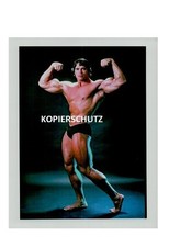 Arnold Schwarzenegger - Olympics Great 15x20 Autograph Photo Unsigned.