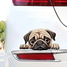2PCS Cute Vinyl Car Decal 5.91"x3.15", Funny Wrinkled Dog Sticker for Car, Lapto