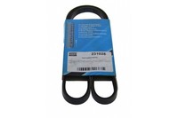 Mapco Keilrippenriemen 231025 FüR GBC GB4 Sierra Ford GBG BNG 2 Turnier