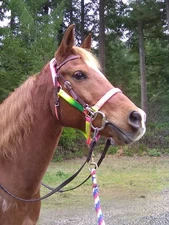 Western Horse Training Headstall Brown Harness Leather