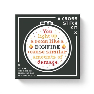 You Light Up A Room Cross Stitch Kit by Brass Monkey 9780735376991