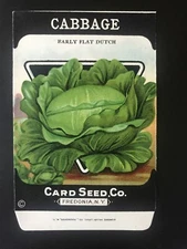 1920s Litho Antique Vintage Card Seed Co. Packet Cabbage Early flat Dutch 5 left