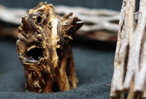 1 Inch Premium cholla wood, Untreated ! - Picture 2 of 7