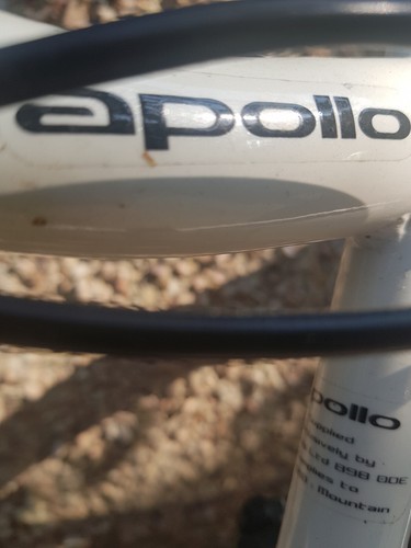 Apollo Vivid, Girls mountain bike. 21 Inch Wheels, 13 Inch frame stem. Age 7 + - Picture 4 of 7
