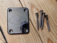 Peavey Raptor Plus Battipenna Graffi per Chitarra Elettrica