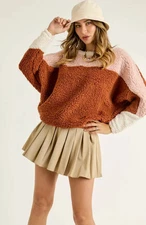 NWT Davi & Dani Neapolitan Sherpa Colorblock Terry Pullover Cozy Fuzzy Preppy 1X