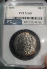 1886 Morgan Silver Dollar - Rainbow Toning 🌈 MS PCI