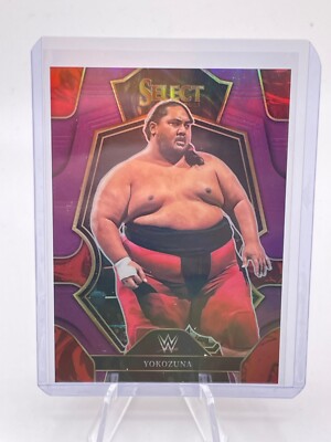 WWE ヨコヅナ s-l400.jpg