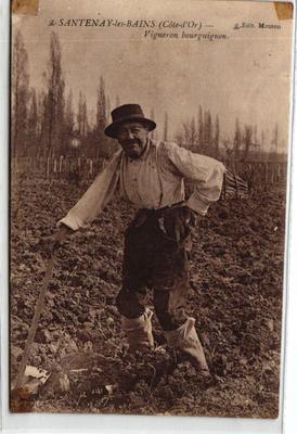 SANTENAY LES BAINS - Burgundy winemaker (identity mentioned on the back)